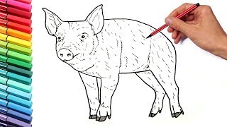 Farm Animals Coloring Pages For Kids - Draw A Pig - Learning Animals And Colors