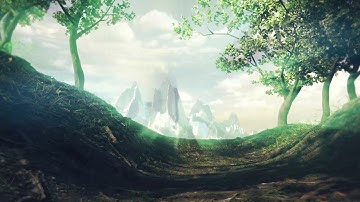Forest. 3D animation. Cinema 4D and Redshift