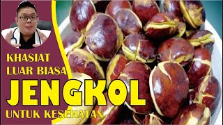 KHASIAT JENGKOL UNTUK KESEHATAN