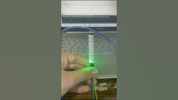 NeoPixel - Arduino
