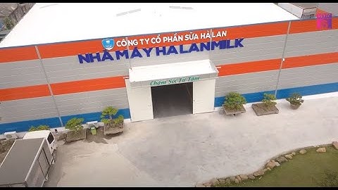 Sữa cô gái hà lan của công ty nào năm 2024