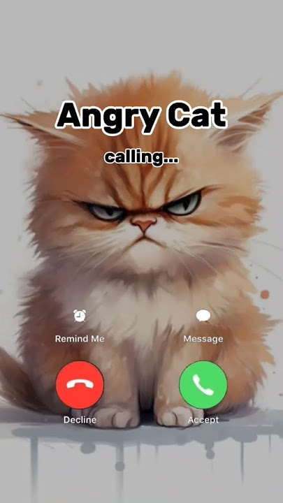 #ringtone #nadaderingtelepon #smartphone #ringtones #music #bgm #funny #cat #catlover #call
