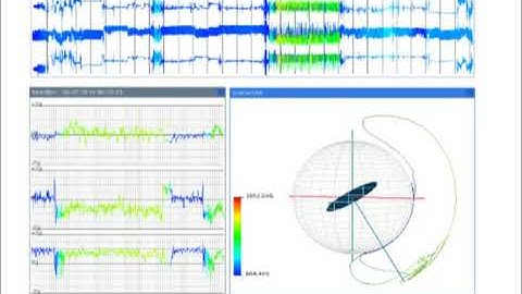 Visualization of Sensor Data from Animal Movement: Acceleration and Pressure
