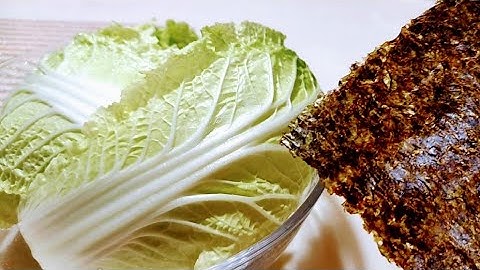 💙냉장고 속 배추와 김을 당장 꺼내세요!!‼️너무 맛있어서 배추와 김이 남아나질 않네요‼️💯👍