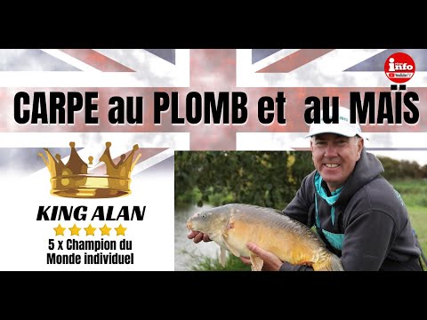 CARPE au PLOMB et au MAÏS 