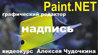 Как сделать надпись в Paint.NET