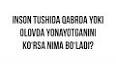 Видео по запросу "tushda savol javob korsa"
