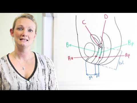 POP Q for the MRCOG by ACE Courses