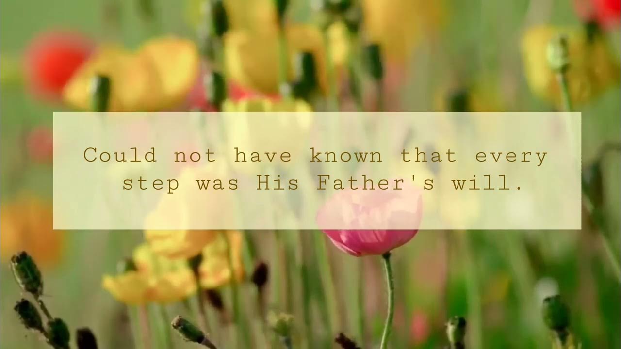 The Offer Still Stands YouTube