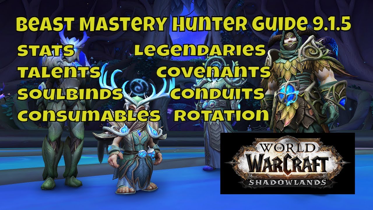 Beast mastery hunter stat priority