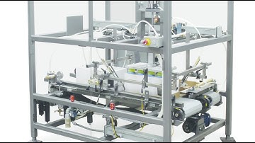 WTP Tray Packer | Craft Brewery Equipment | Wayne Automation