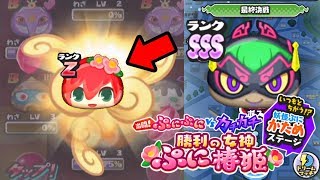 ぷにぷに超Zランク椿姫【妖怪ウォッチぷにぷに】コインガシャYo