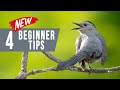 Bird Photography for Beginners: 4 Unusual Tips