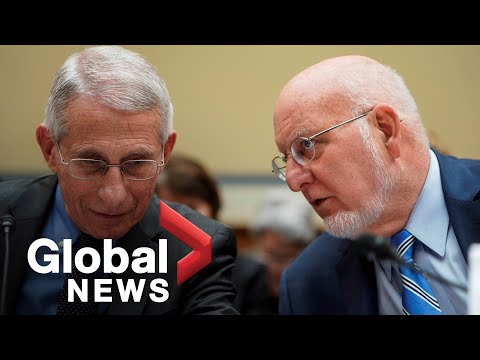 Coronavirus outbreak: U.S. infectious disease specialists testify to House Committee | LIVE