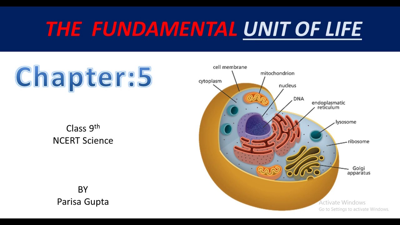 Ncert Science Class 9 Fundamental Unit Of Life Cell Part 1 Youtube