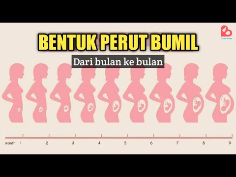 Perubahan Bentuk Perut Ibu Hamil Setiap Bulan Kehamilan