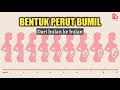 Perubahan Bentuk Perut Ibu Hamil Setiap Bulan Kehamilan