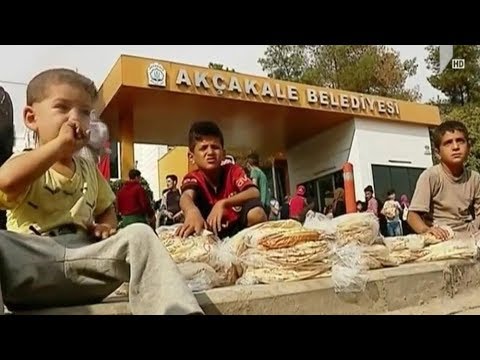 „მშვიდობის წყარო” - ერდოღანი პუტინს შეხვდება