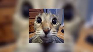 Download Lagu Ninho - Un Poco (speed up) MP3