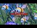 Dolphin Hyperspace - The Life of a Bee (official audio)