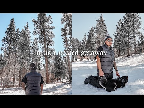 🐻❄️ BIG BEAR VLOG 2022 | Activities & Food! (much needed getaway)