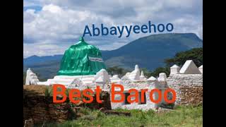 New Best Baroo Shek Hussien dhageffadhaa#baaroo#shekhussen #new #oromo#baroo #abiyyoo#Dheraabalee
