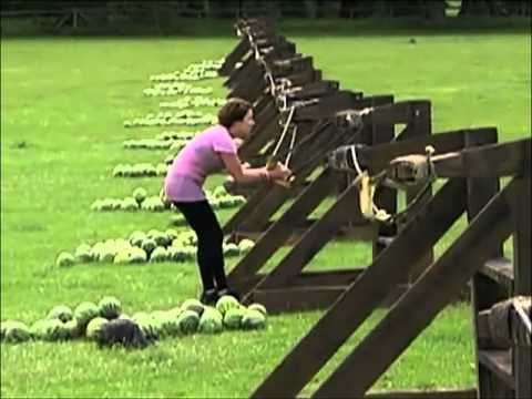 Epic Fail: Woman takes watermelon launch to face from giant slingshot slow motion! - Amazing Race