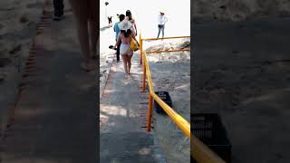 Visitando Playa Conchas Chinas En Puerto Vallarta Jalisco