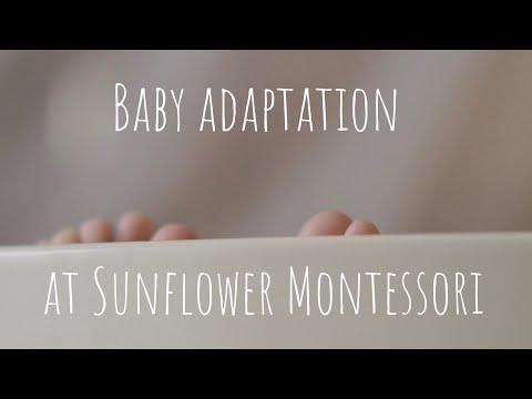 Baby adaptation at Sunflower Montessori