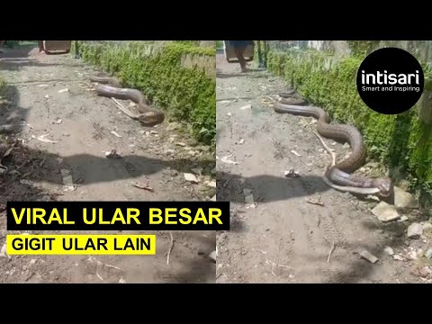 Ufada 500 rubl uchun qizlar jinsiy aloqa Kozlari boglangan etuk ayollar porno video