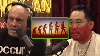 Humans are the product of accelerated evolution - JRE #trending #joerogan #comedy #funny #1965