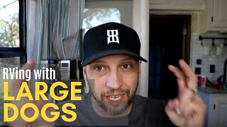 5 Tips For Traveling With Dogs While Full Time Rv Living