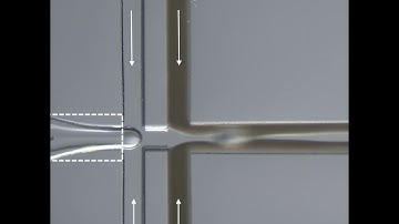 Core-shell microcapsule fabrication (higher magnification)