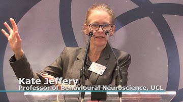 The Crowd: Prof Kate Jeffery on using behavioural psychology to tackle climate inaction
