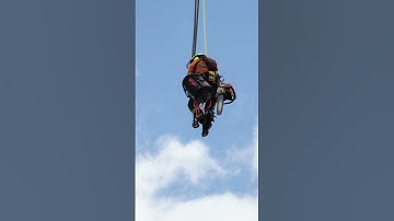 #arborist #treework #arboristlife #treecare #treecutting