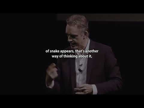 If You Ve Been Cheated On DON T Collapse Dr Peterson Explains Why Feel What