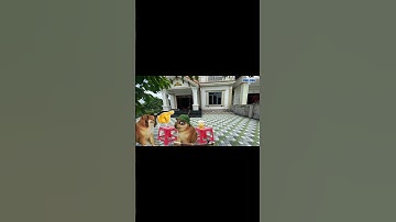 Nhạc chế Ding Ding TV: Chiều chiều vác cái điếu cày