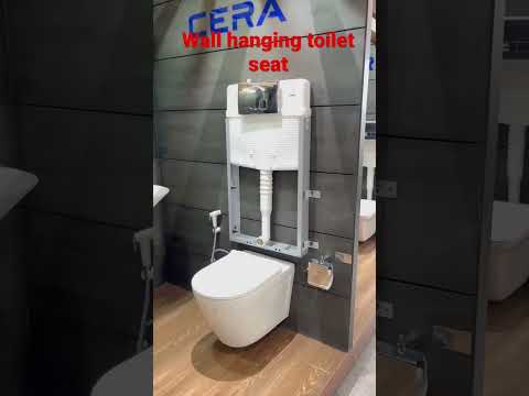 Video: Šarņu tualete: modeļi, izmēri, uzstādīšana. Sienas tualetes remonts