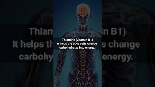 Functions of Vitamin B1 shorts | Sources of Vitamin B1 | Health Tips