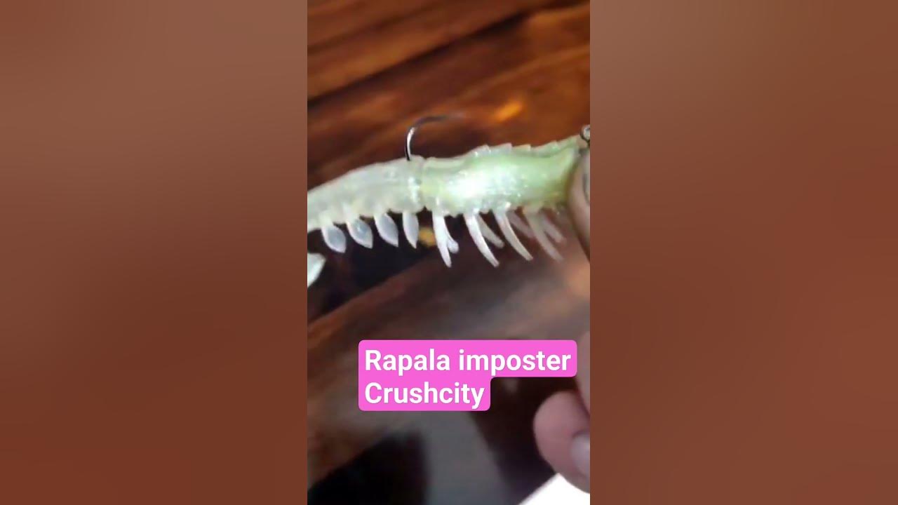 rapala imposter soft plastic crushcity #rapala #fishing #softplastics  #gamechanger # 