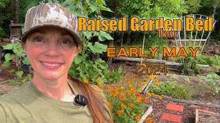 Raised Garden Bed Tour early May 2024 ~ Greaux Garden Greaux