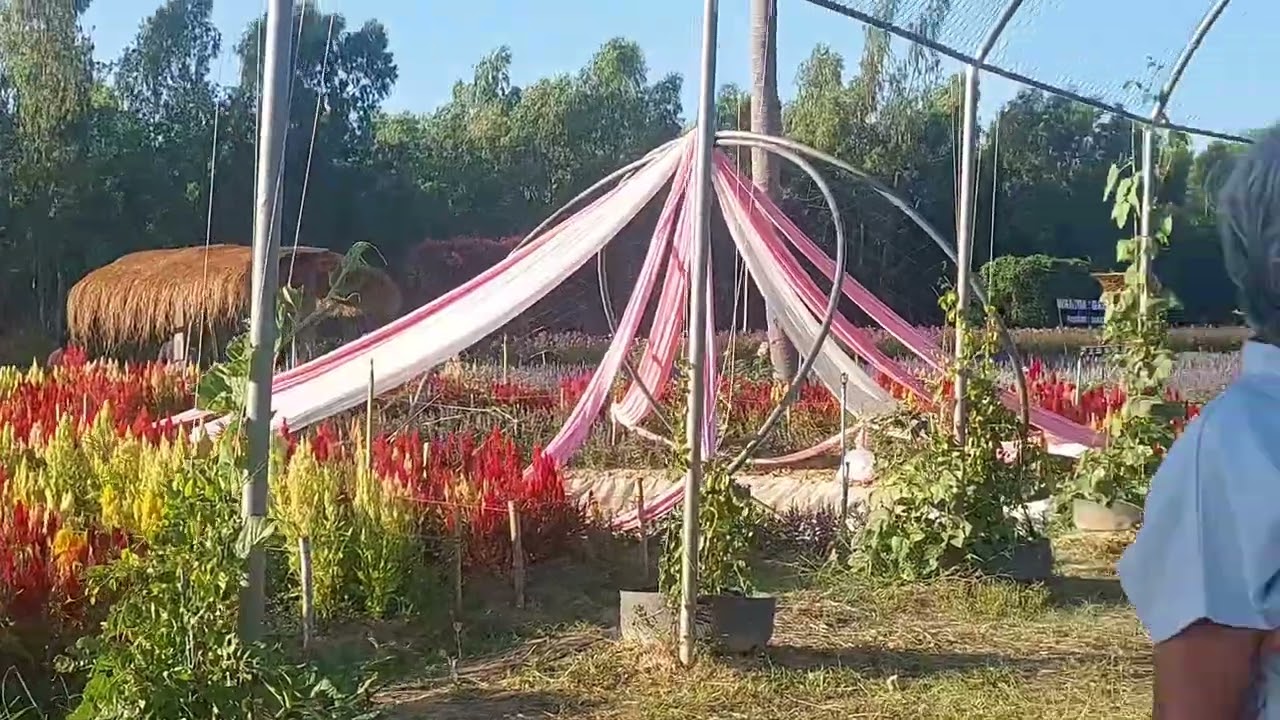 สวนดอกไม้ "วนิดา" ก่อนปีใหม่ ความงามไม่สร่าง 