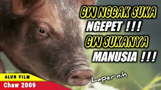 VIRAL ‼️ BABI INI LEBIH SUKA MANUSIA DESA DARIPADA NGEPET - Alur Cerita Film Chaw  #ringkascinema