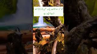 Surah Ikhlas Recitation with Urdu Tarjma Mishray Rashid Alafasay