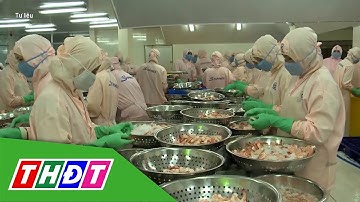 Những thách thức của xuất khẩu tôm | THDT