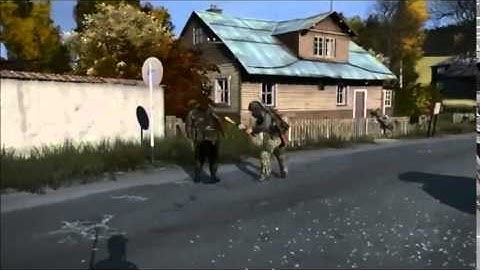 DayZ Melee - .44 Stable
