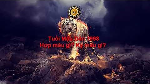 15.11.1998 hợp vs hình xăm nào