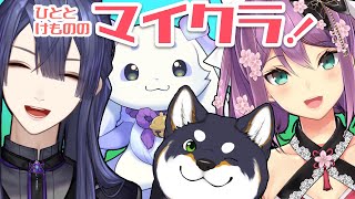 【Minecraft】にじ鯖！介護していただき…いただき…【黒井しば/にじさんじ】