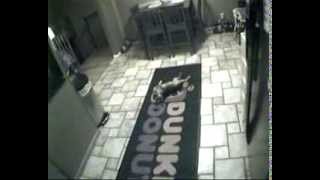 cute little dog gets shot in the face.....   **CAUTION**  graffic doggie suffering