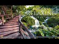 4 hours classical music for relaxation